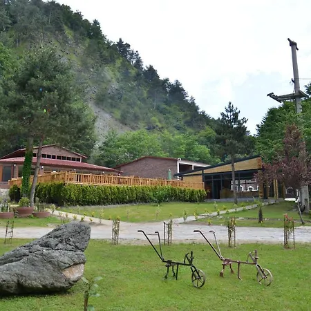 Feel & Live Restaurant Sapanca