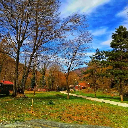 Feel & Live Restaurant Sapanca