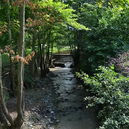 Szálloda Feel & Live Restaurant Sapanca