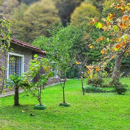 Feel & Live Restaurant Sapanca Ξενοδοχείο