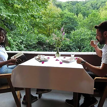 Hotel Feel & Live Restaurant Sapanca Sakarya (Marmara)